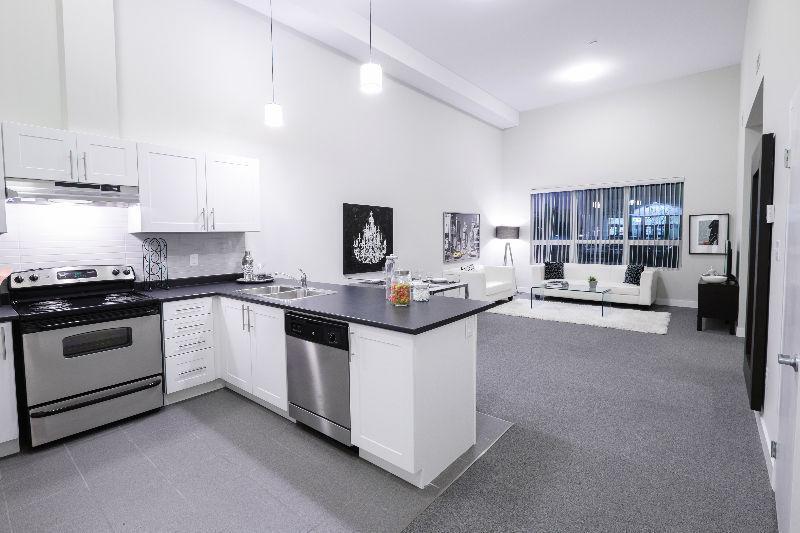 10 MONTH LEASE @ The Lofts For The 2016/2017 School Year!