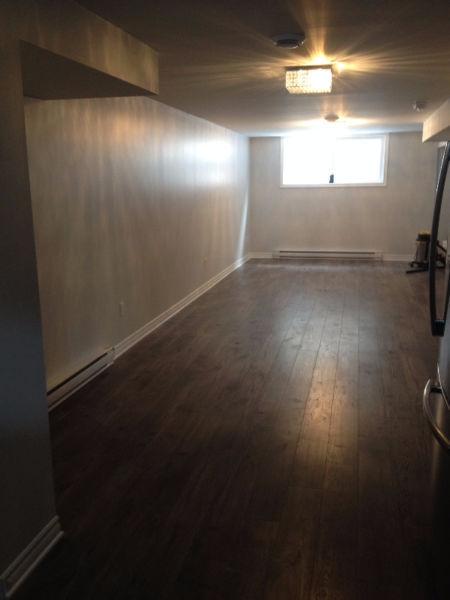 Fully Renovated 2 BDR Basement Apartment with Separate Entrance