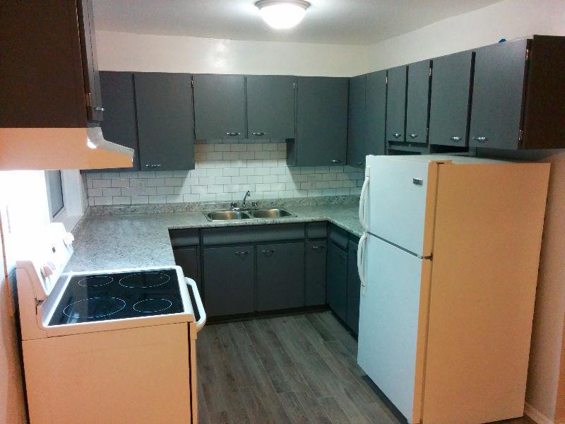 3 Bedroom Completely Updated Apartment close to Algoma U