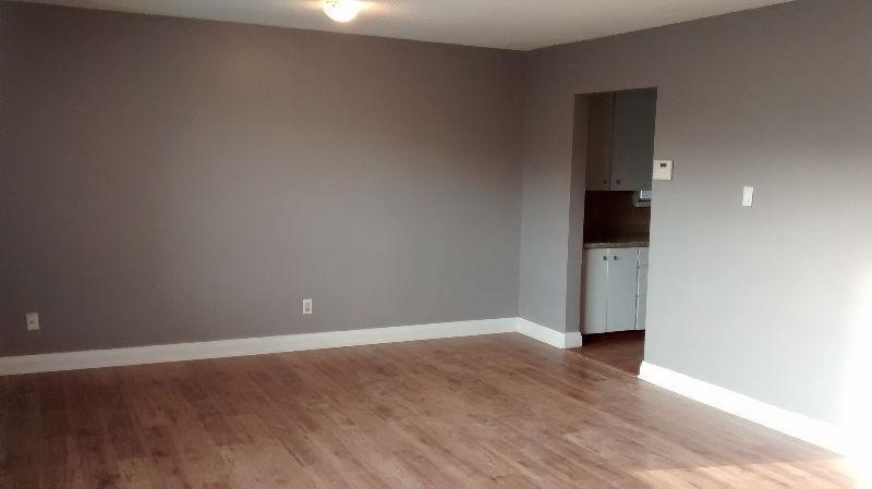 Large renovated 3 bedroom apartment for rent in Thorold