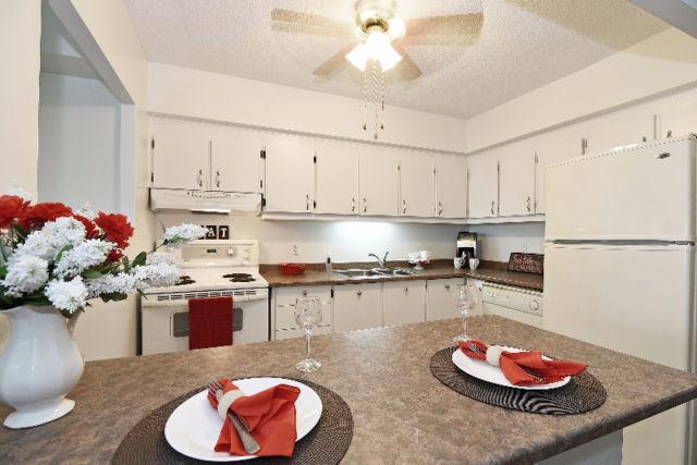 Sunny and Spacious 2 Bed, 1 Bath Unit Minutes to Downtown!