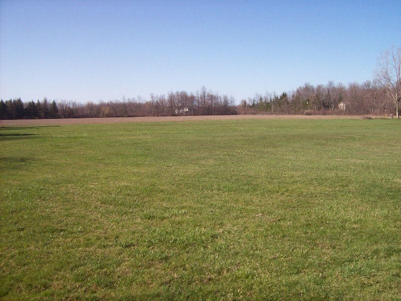 16 acres of cleared land ready to build your dream home on