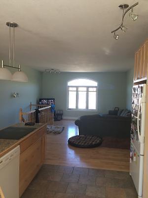 Short or Long term available