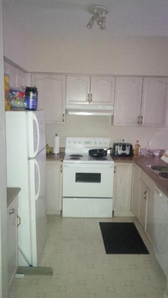 STUDENT HOUSE FOR RENT FEMALE ROOMMATES WANTED