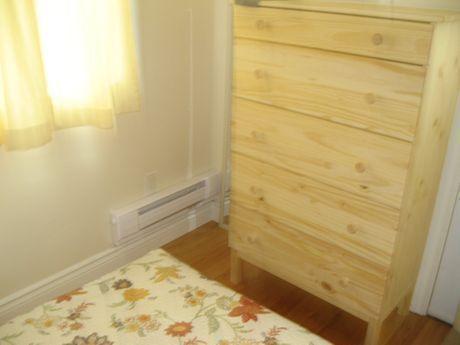 Cozy fully furnished one bedroom apt available June 1