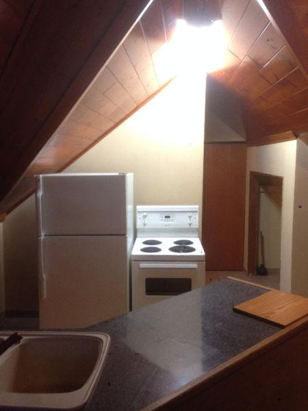 APT AVAILABLE PINE CEILING LOOKS LIKE SKY CHALET