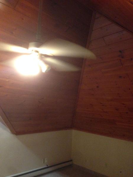 APT AVAILABLE PINE CEILING LOOKS LIKE SKY CHALET