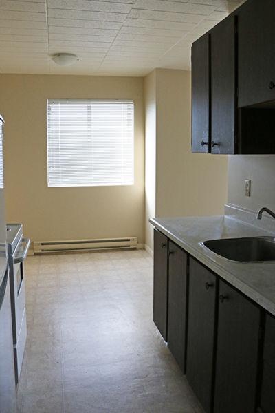 Windsor 1 Bedroom Apartment for Rent: Perfect for students