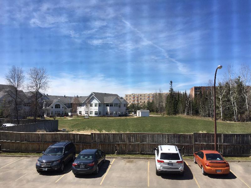5 Minutes walk to LU! Large 1 bdrm Apartment for rent! June 1st