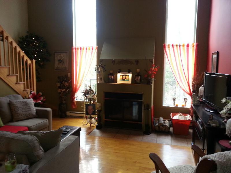 Beau grand loft