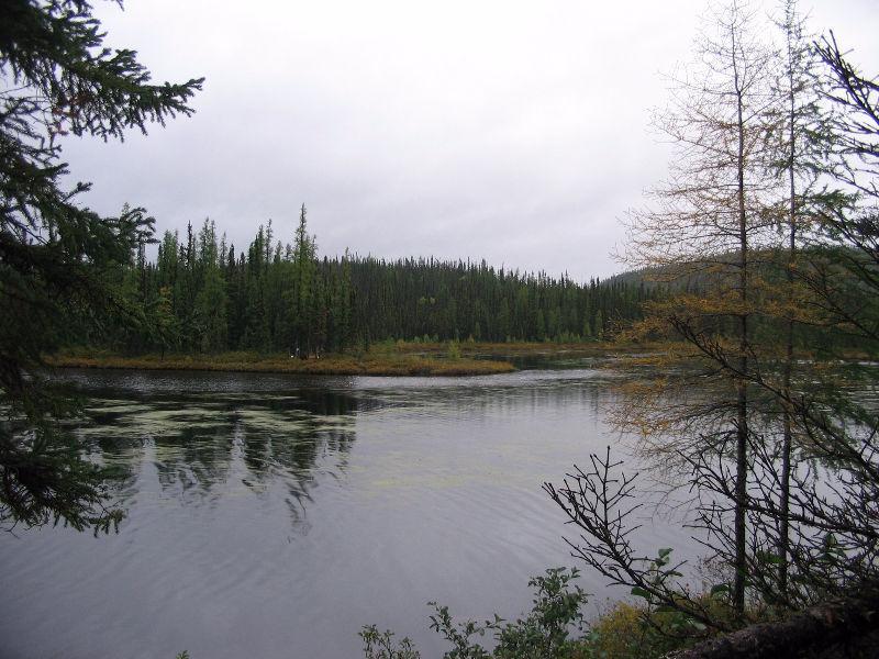 Camp de chasse a vendre