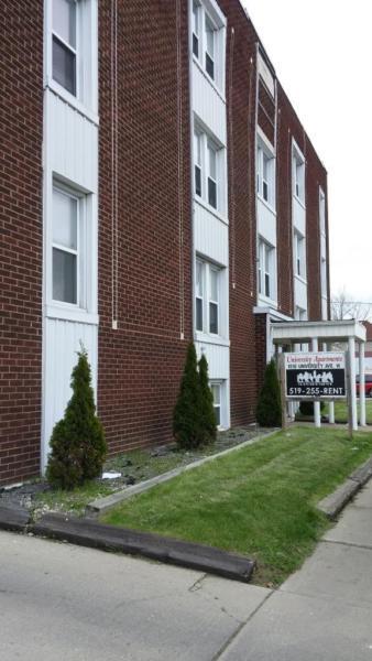 BACHELOR APT ON UNIVERSITY & CURRY - $450 INC