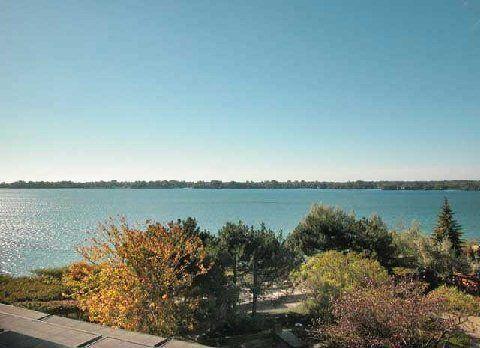 ****** Waterfront Condos - Pinnacle Centre ******