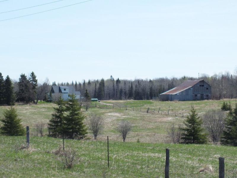 80 Acre Farm for Sale in McIntosh Springs near Connaught