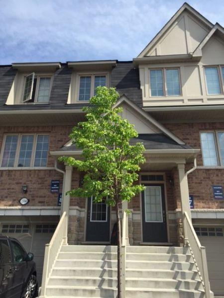 - Creditview/Britannia Newer Townhome 3BR