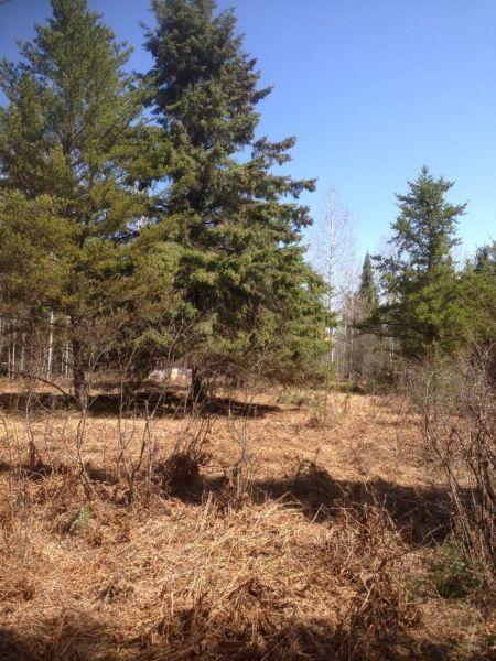 TransCanada acreage