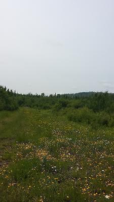 Vacant Land in South Gillies