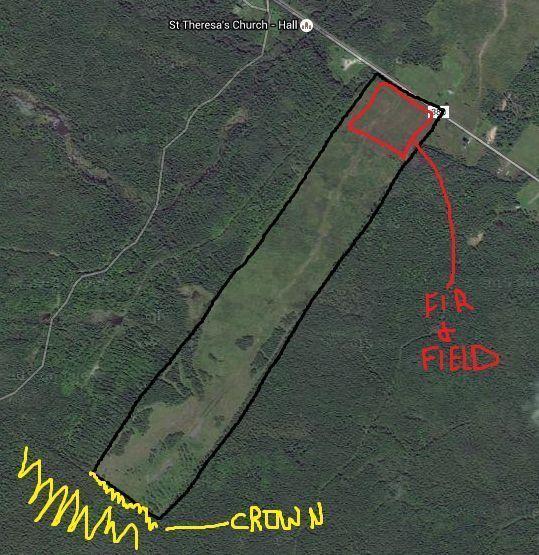 Almost 100 Acres New Brunswick Land, Butts Crown Land