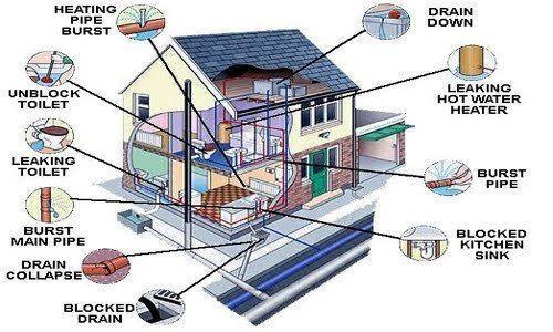 Certified, Full Service, Professional Master Inspector