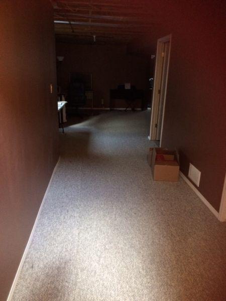 University or college student wanted - basement for rent