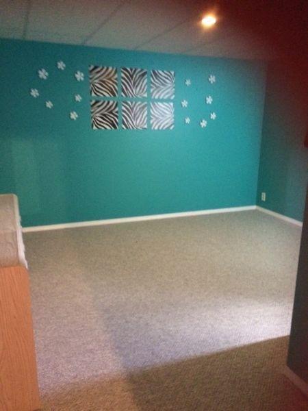 University or college student wanted - basement for rent