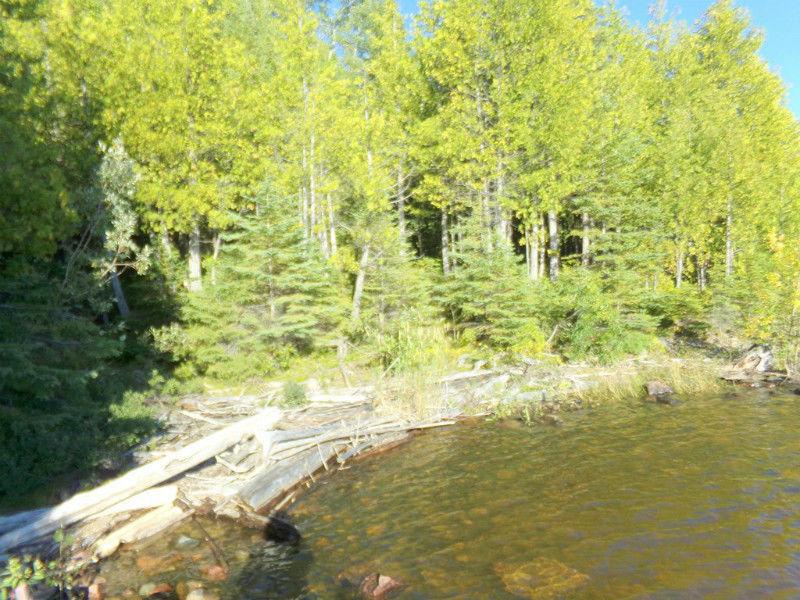 Terrain de 48,208 pi 2, lac Témiscamingue