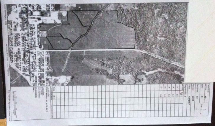 terre agricole 55 hectares