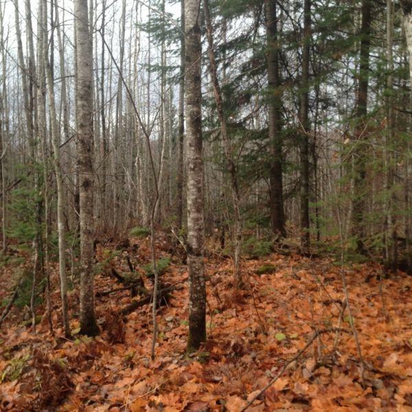 Outaouais terre récréatif
