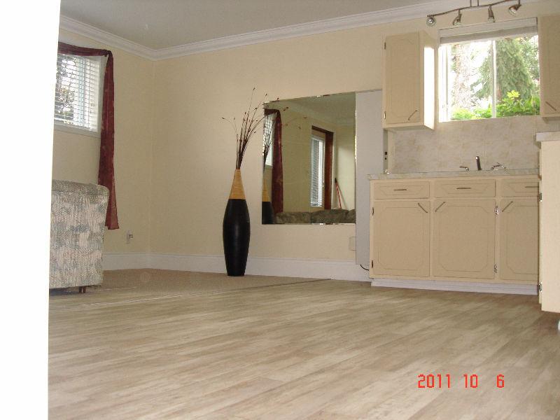 Grand 3 1/2 , Style Loft ,chambre fermé (St-Jérôme)