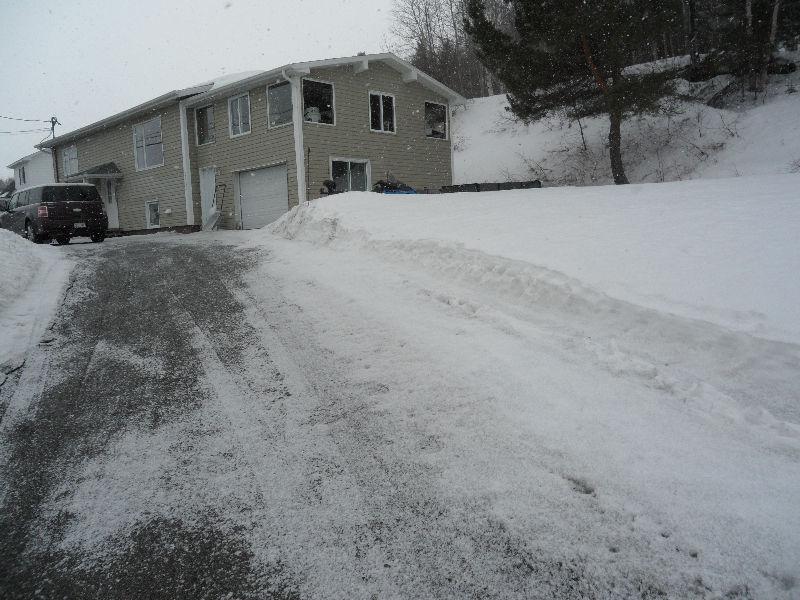 Sous-sol à louer 4 1/2 appartements avec fenestrations sorties