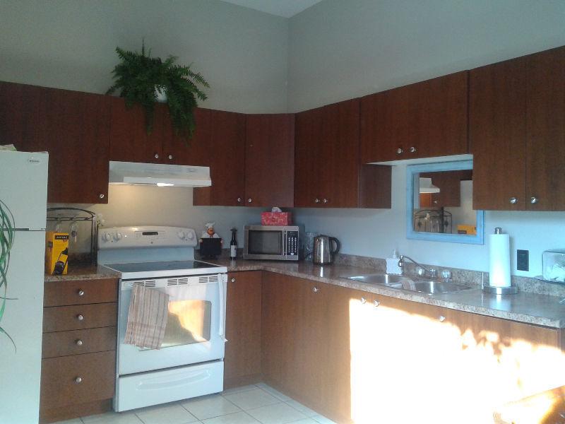 Wanted: Logement 4 1/2 Style Loft