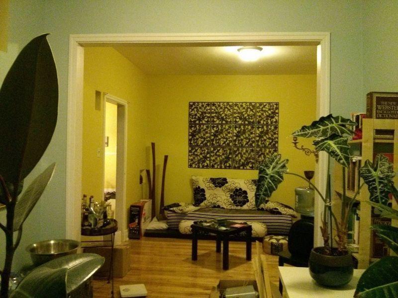 Warm apartment 5 ½ quiet district free by June 25th