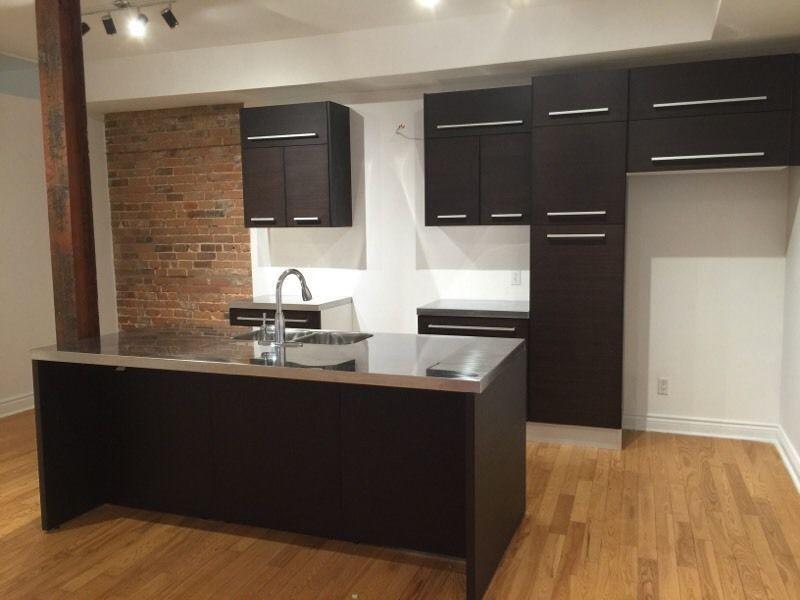 3 Bedroom Downtown Furnished McGill