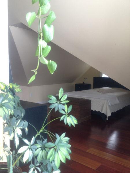 Chambre à louer