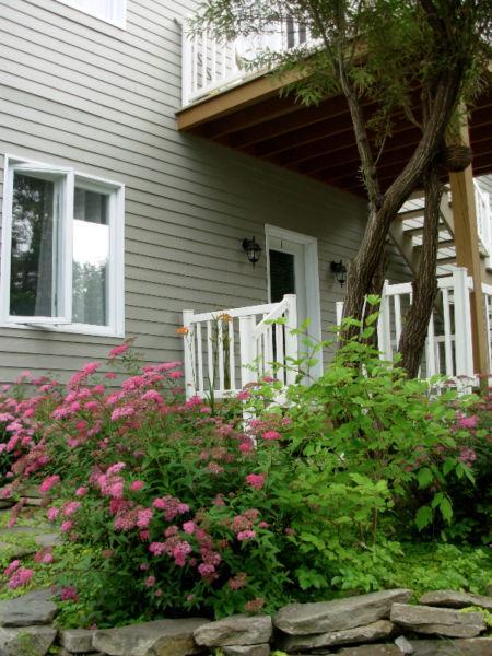 La campagne à la ville!