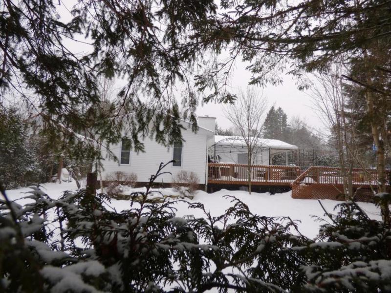 Maison - à vendre - Saint-Faustin/Lac-Carré - 20741375