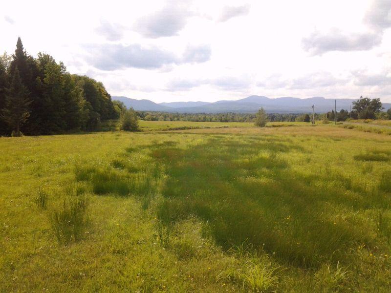 Terrain a Potton