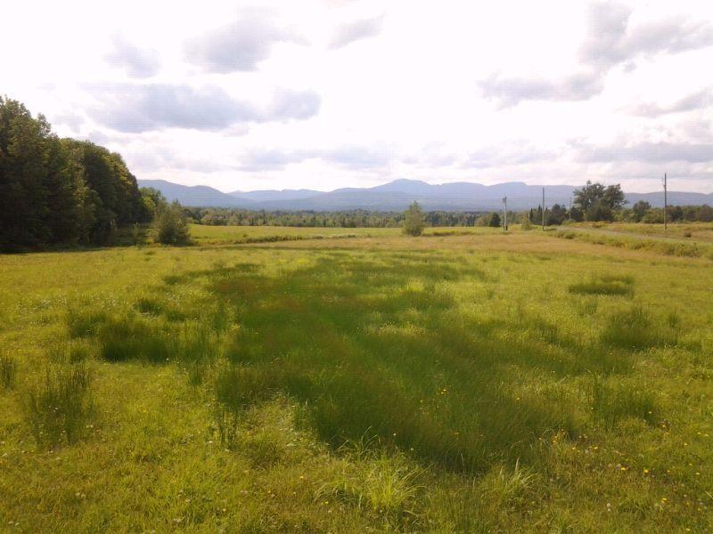 Terrain a Potton