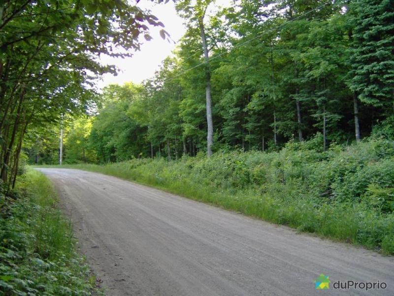 25 000$ - Terrain résidentiel à vendre à Brownsburg-Chatham