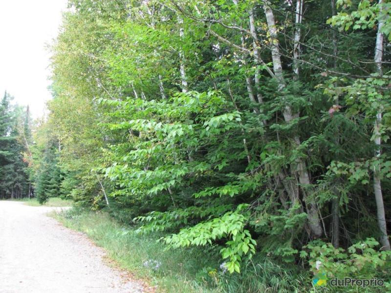 39 000$ - Terrain résidentiel à vendre à St-Donat