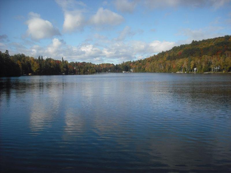MAGNIFIQUE TERRAIN 67 000 PC AVEC BORD D'EAU À VOIR 54 500$
