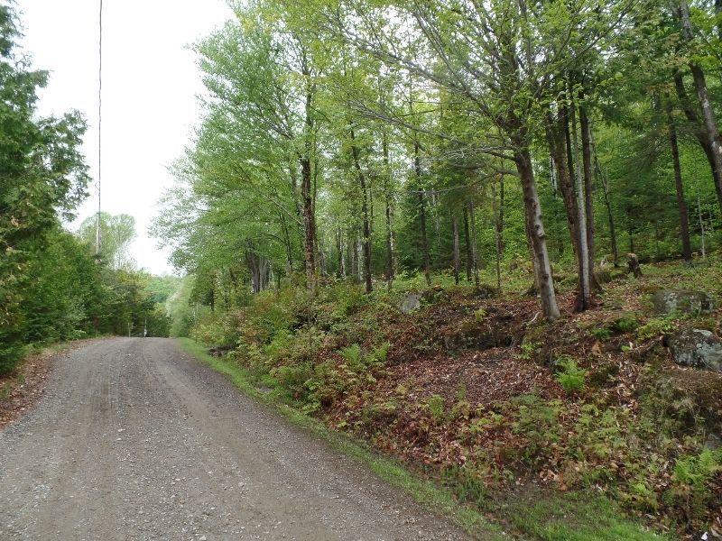 MAGNIFIQUE TERRAIN 67 000 PC AVEC BORD D'EAU À VOIR 54 500$
