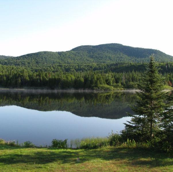 terrain a vendre bord de l eau