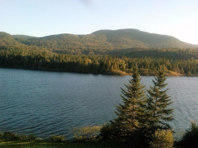 terrain a vendre bord de l eau