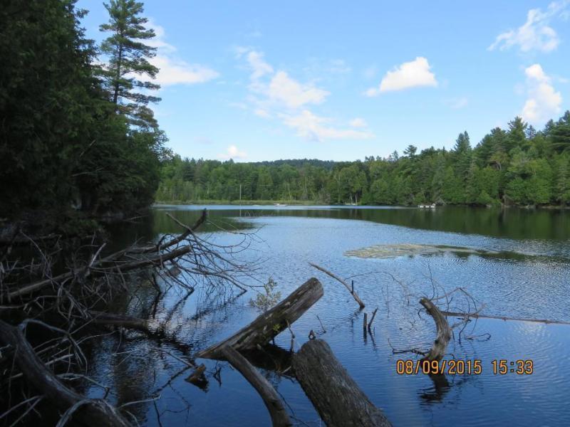 Terrain - à vendre - Grenville-sur-la-Rouge - 25359724