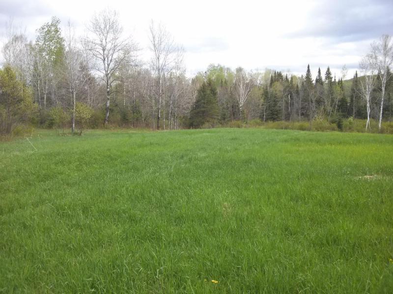 Terrain - à vendre - Lac-des-Écorces - 10811477