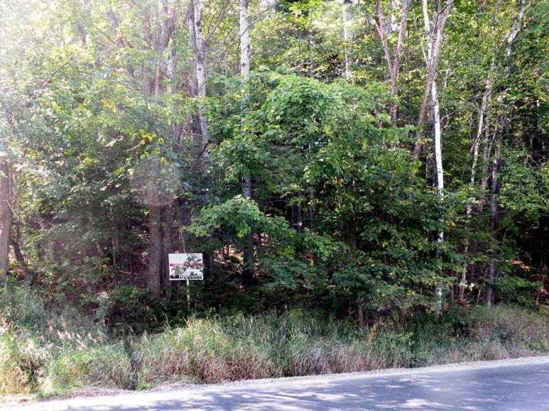 Terrain - à vendre - Lac-Supérieur - 19997854