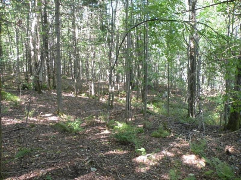 Terrain - à vendre - Lac-Supérieur - 19997854