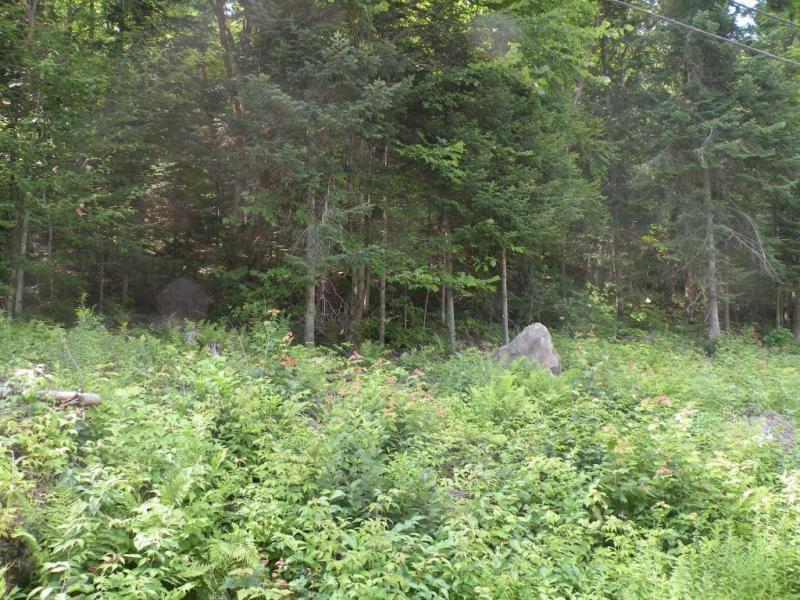Terrain - à vendre - Nominingue - 17910980