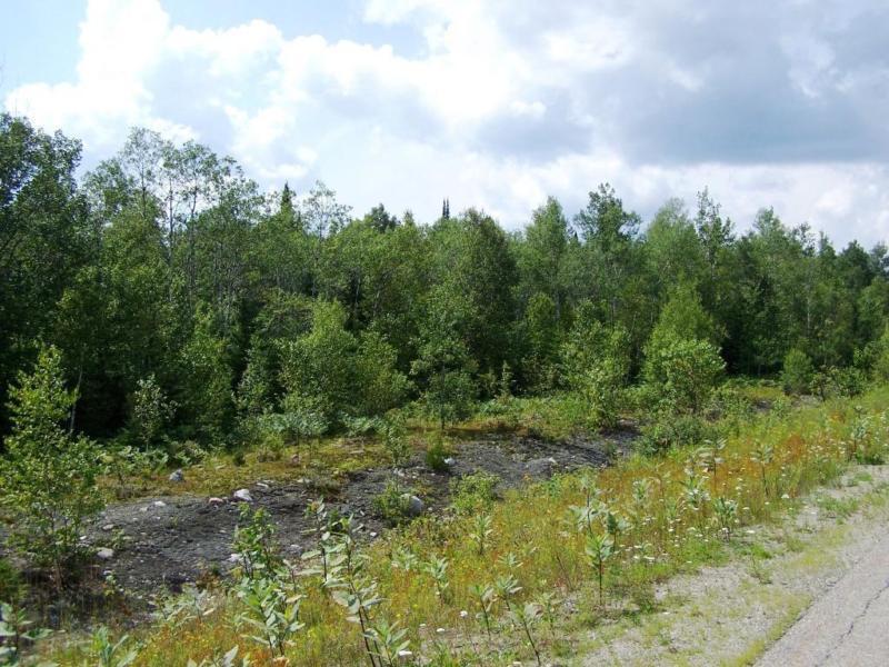 Terrain - à vendre - Notre-Dame-de-la-Merci - 14180299